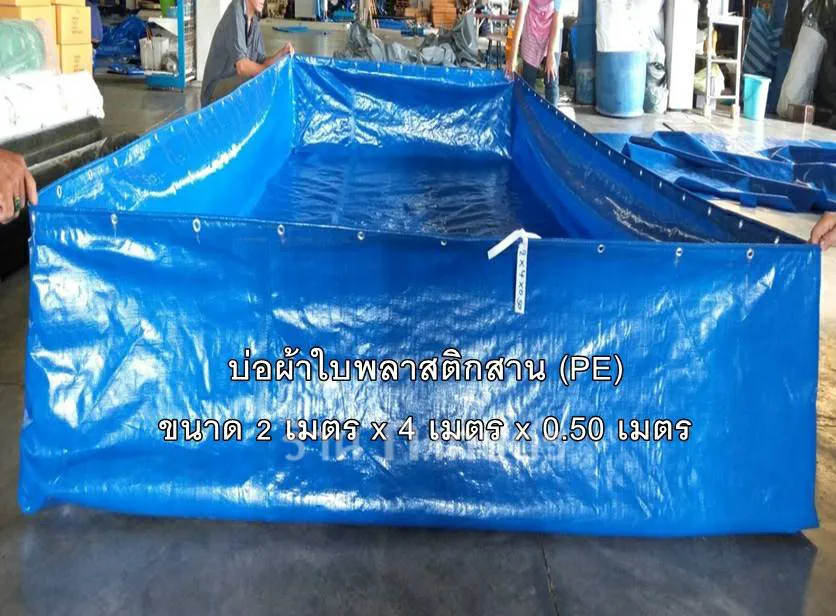 010