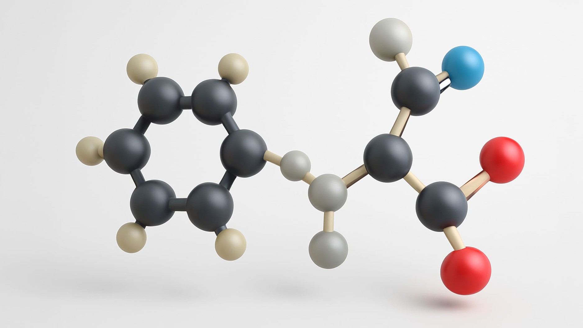 L-PHENYLALANINE-05