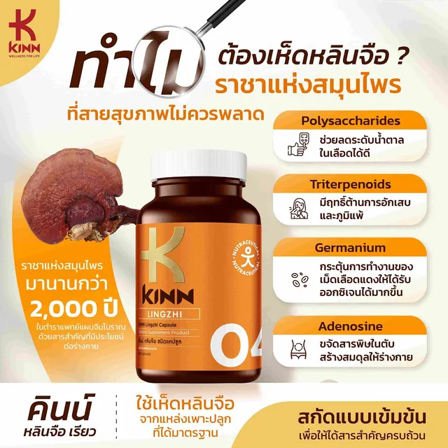 ทำไมต้องเห็ดหลินจือราชาแห่งสมุนไพรที่สายสุขภาพไม่ควรพลาด578965282638