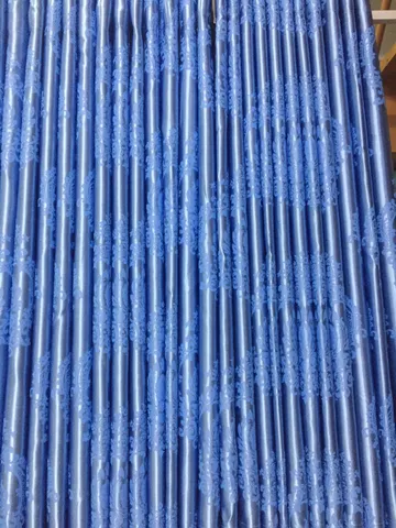 S16547879