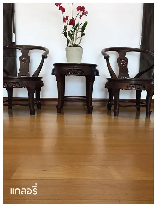 iTopPlus288307791350