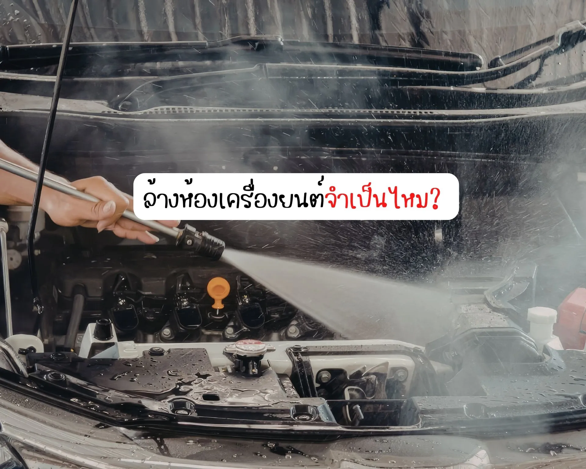 หน้าปกบนความ(100)