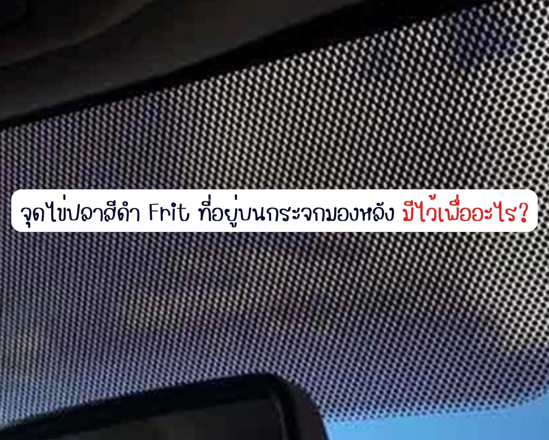 หน้าปกบนความ(16)