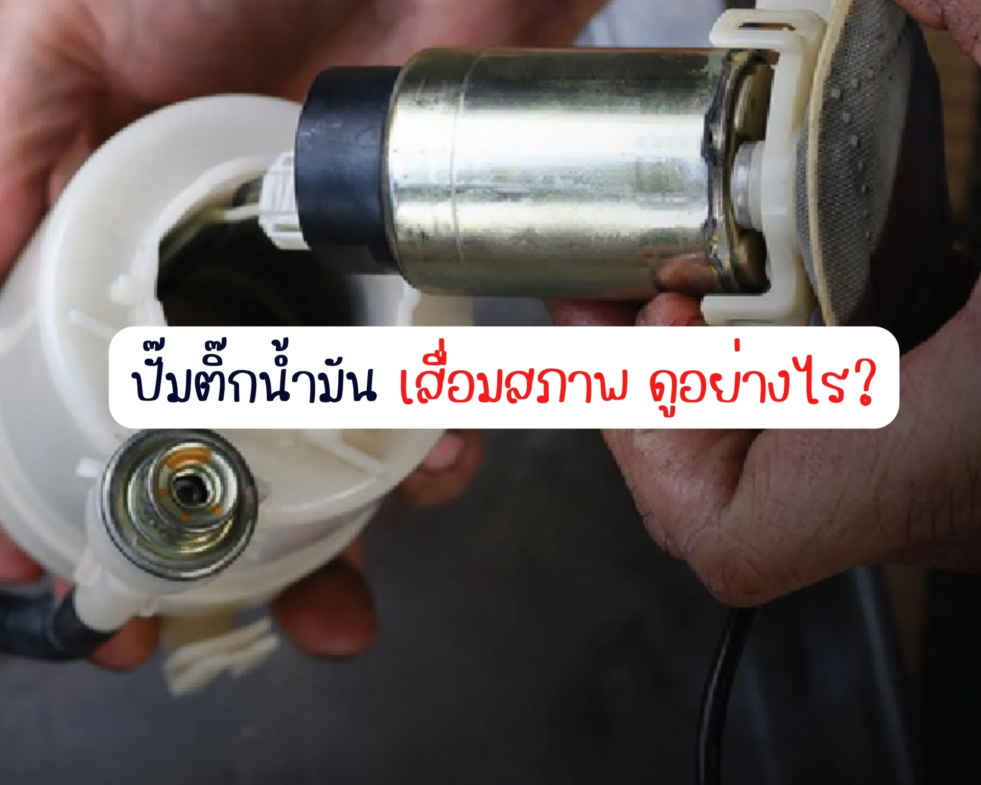 หน้าปกบนความ(17)
