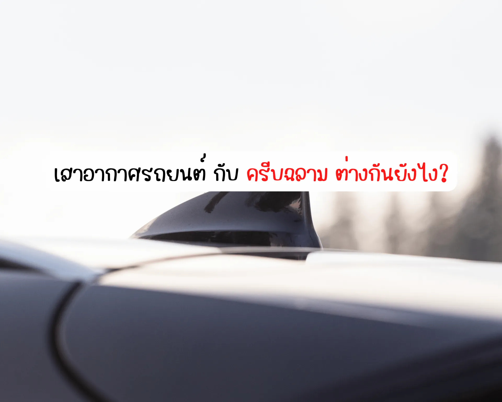 หน้าปกบนความ(20)