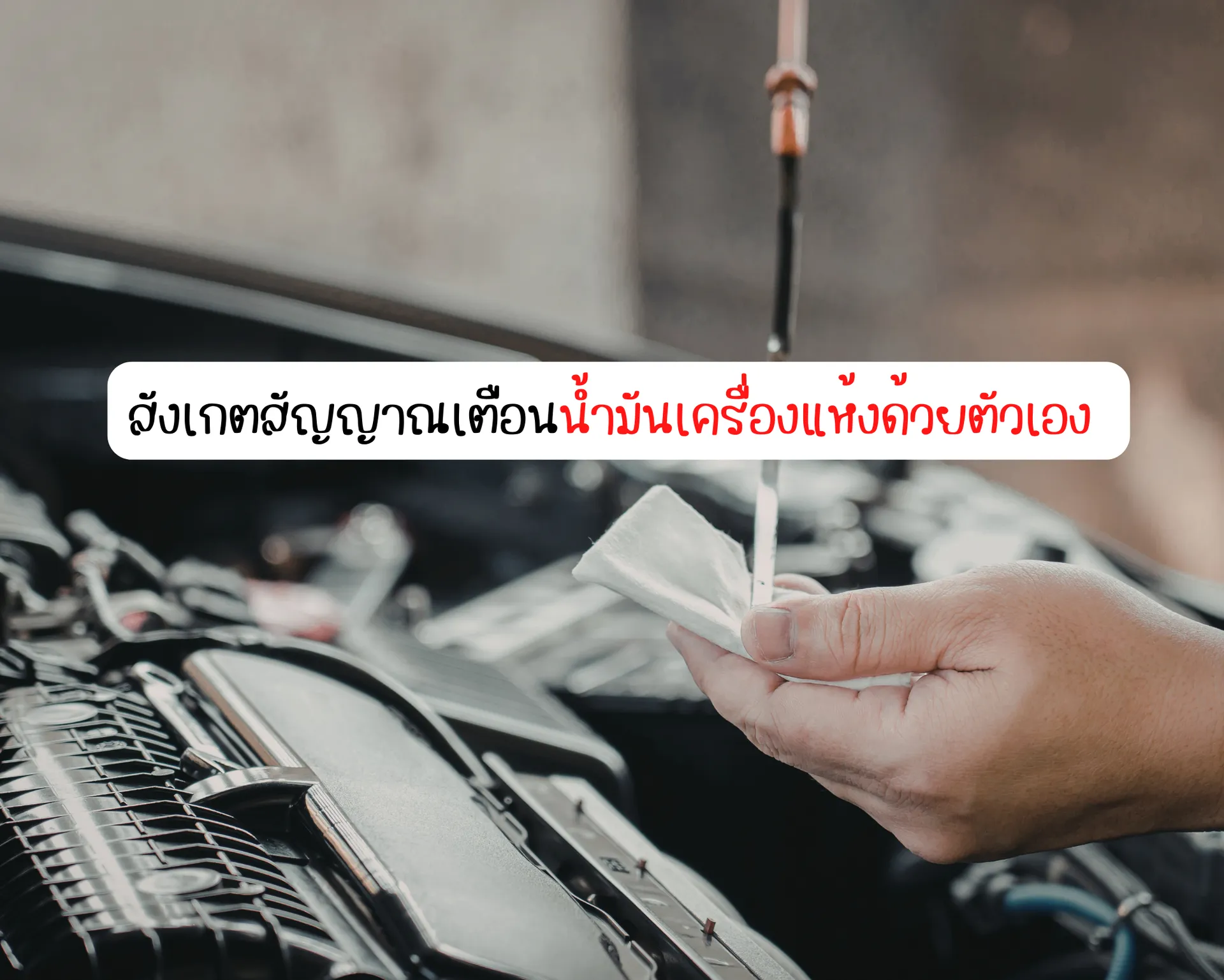 หน้าปกบนความ(22)