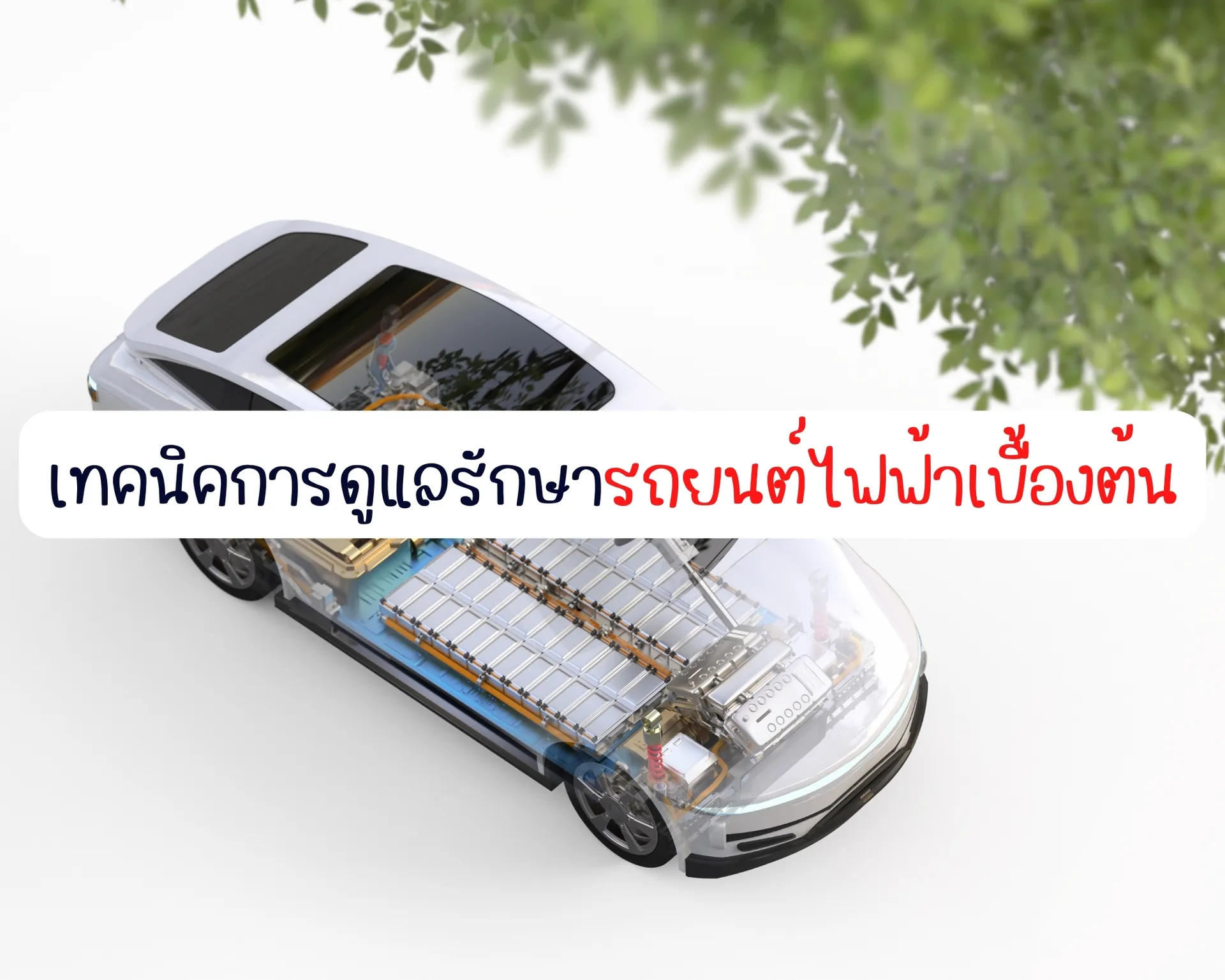 หน้าปกบนความ(25)