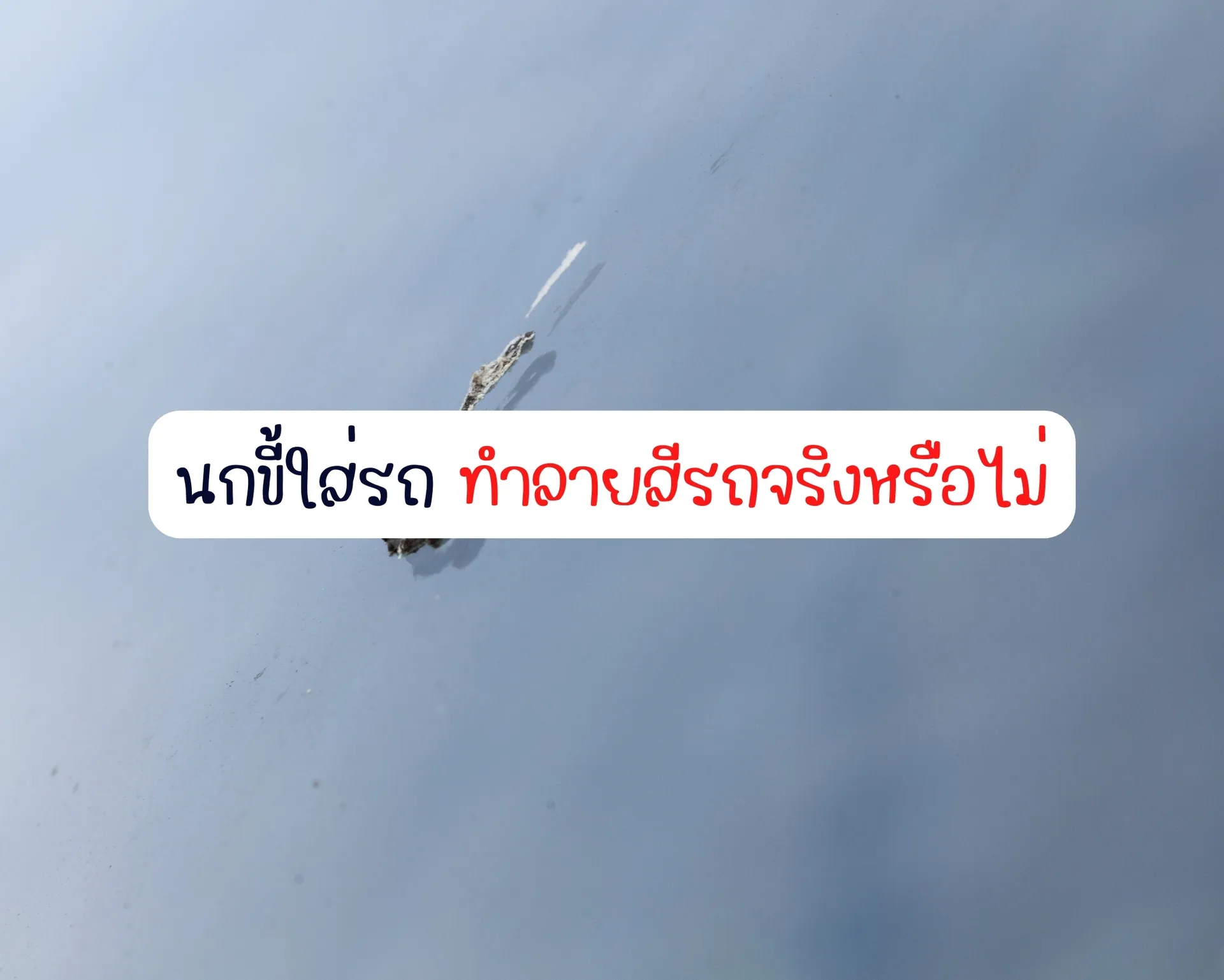 หน้าปกบนความ(26)