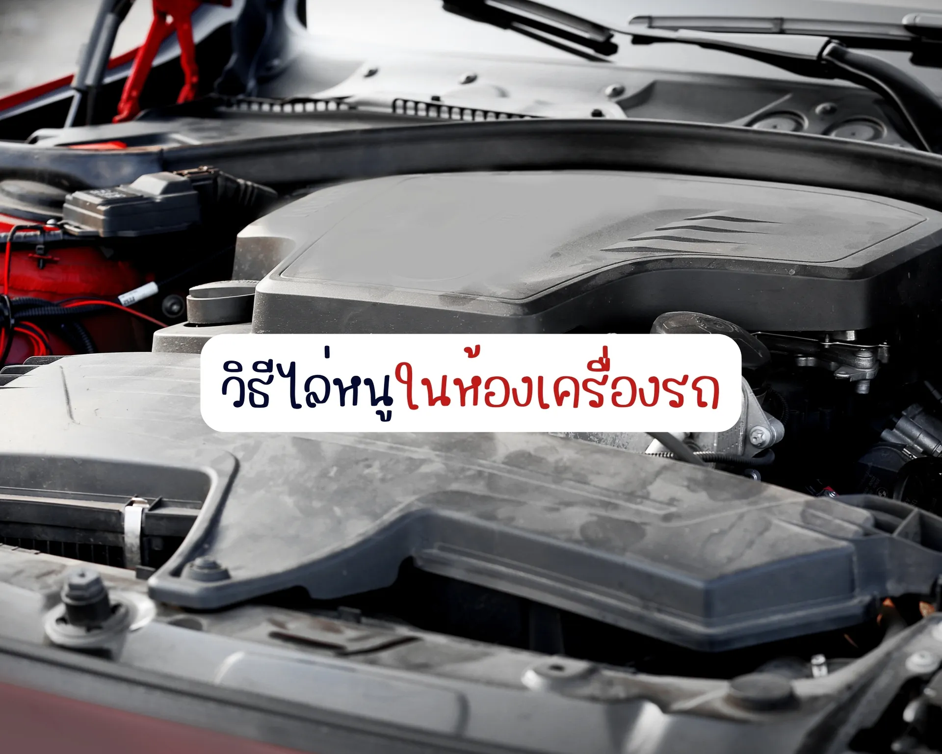 หน้าปกบนความ(38)