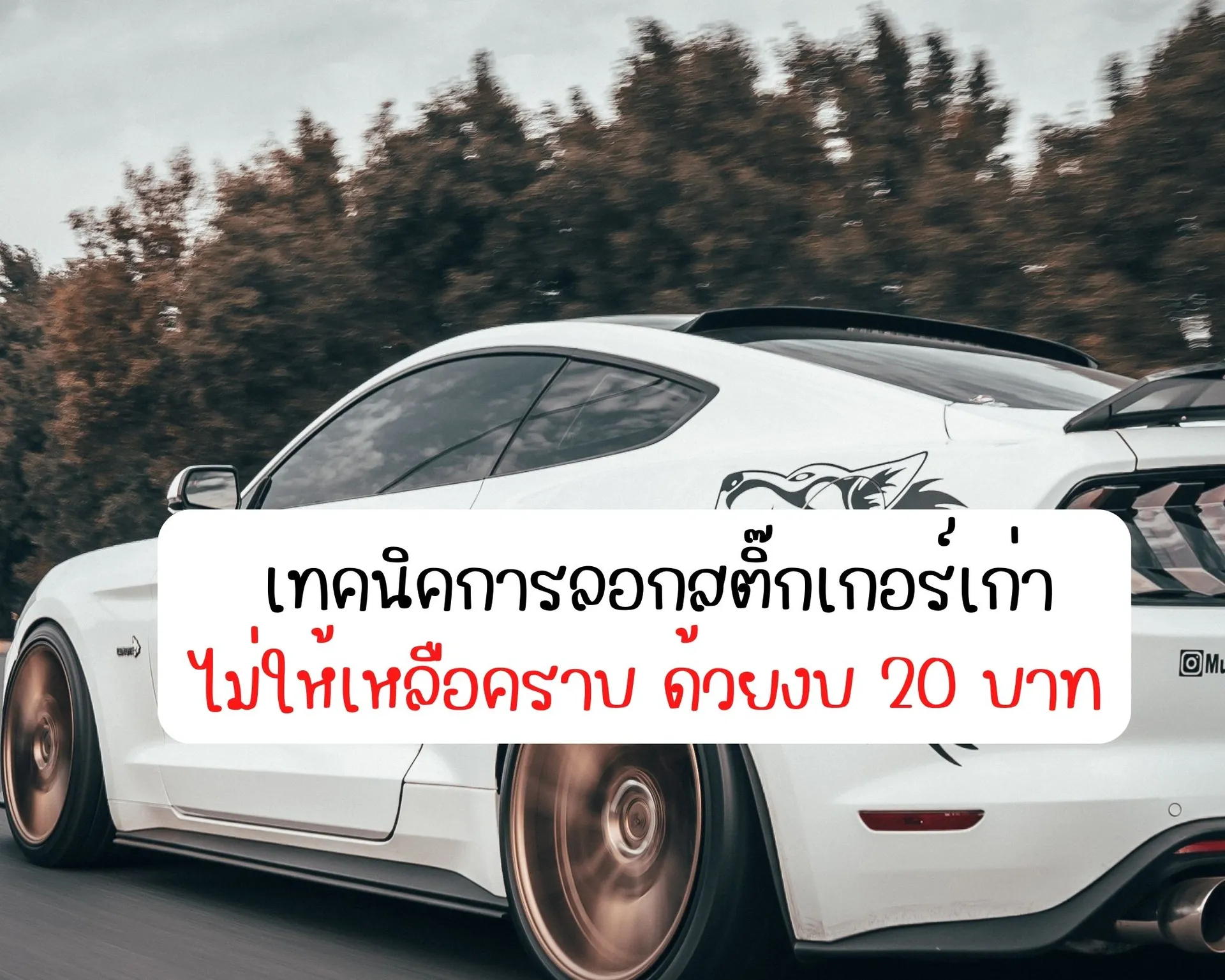 หน้าปกบนความ(45)
