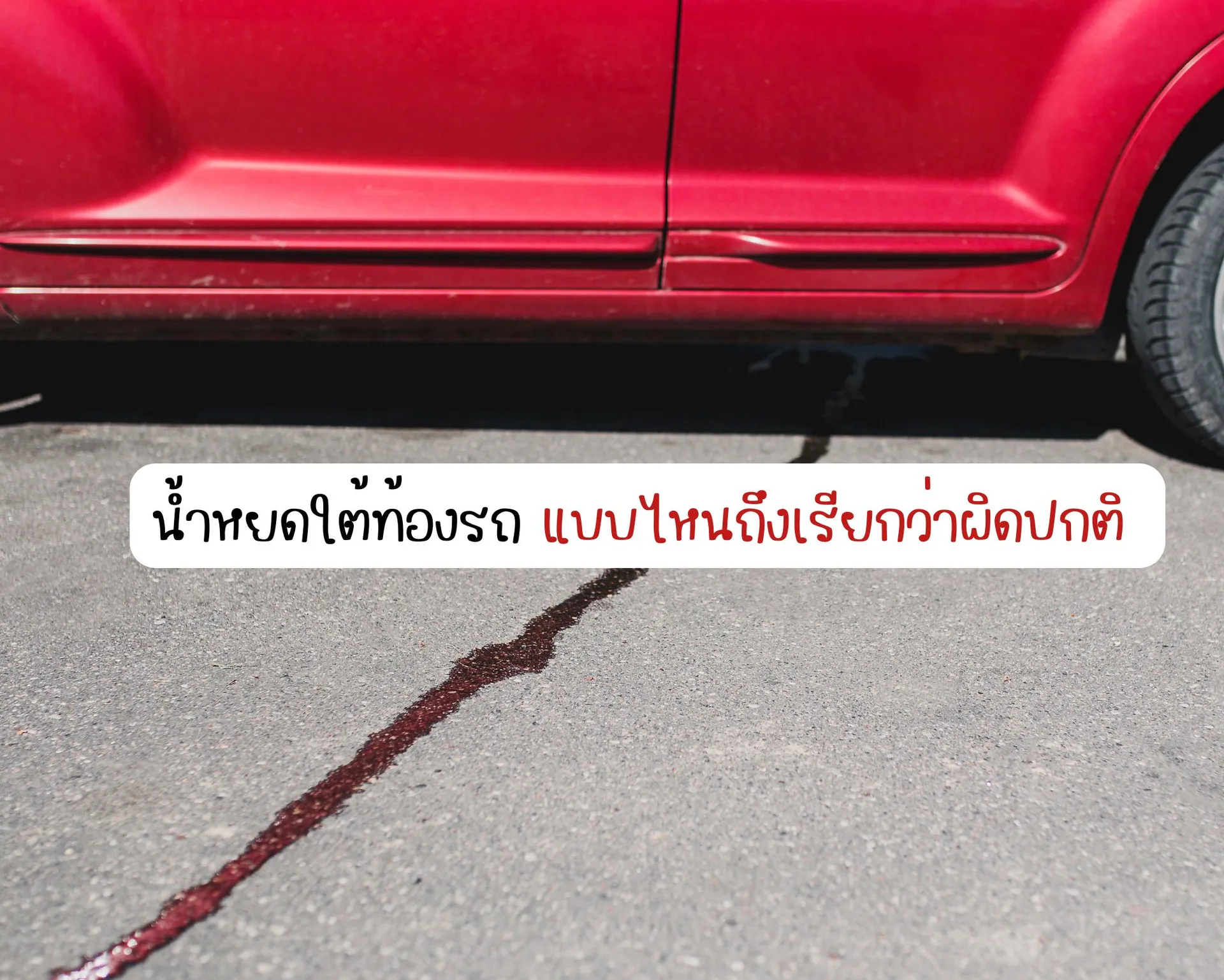 หน้าปกบนความ(56)