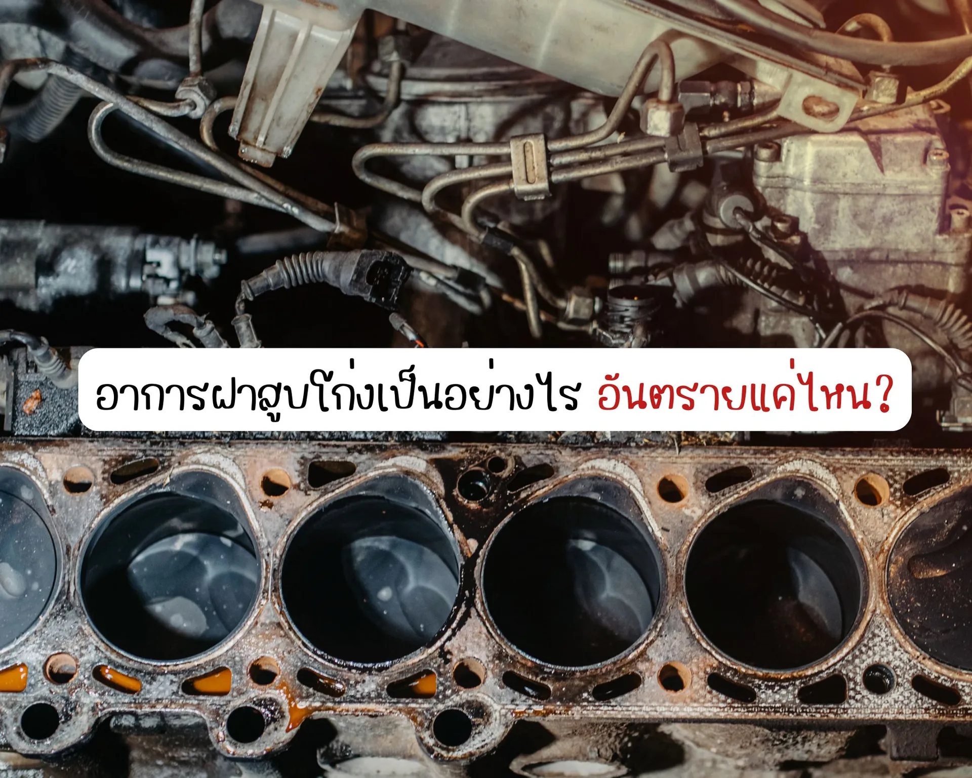 หน้าปกบนความ(63)