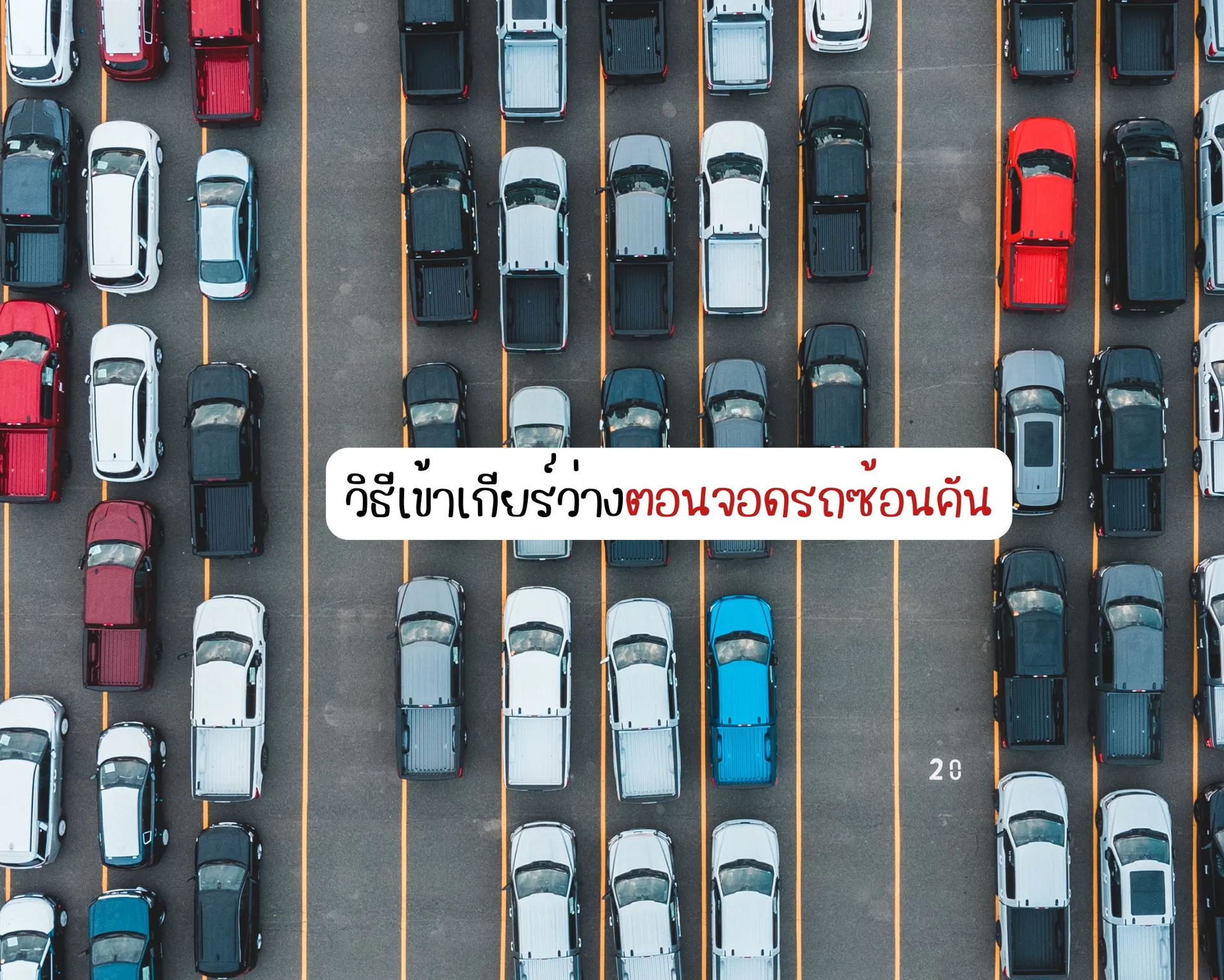 หน้าปกบนความ(64)