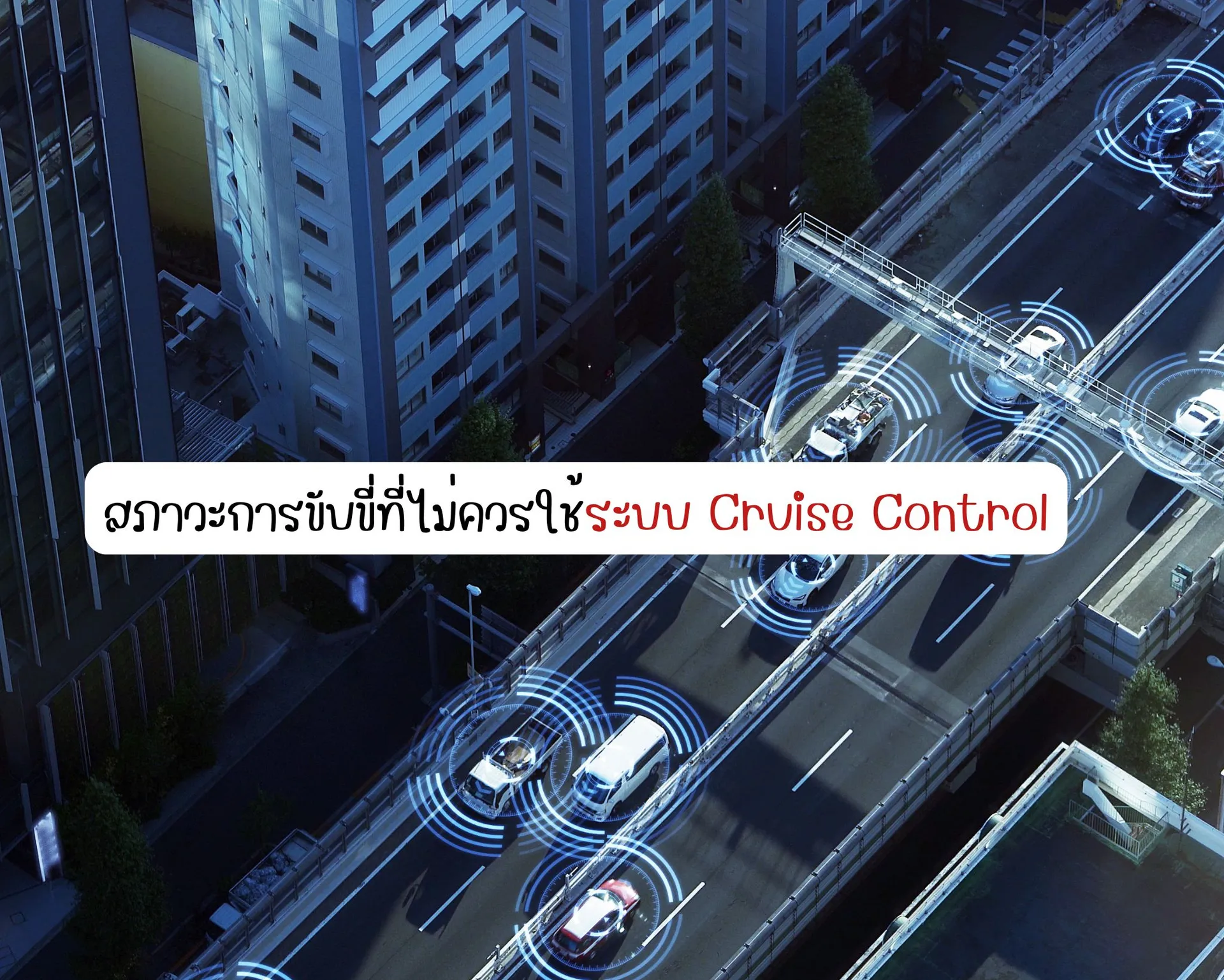 หน้าปกบนความ(65)