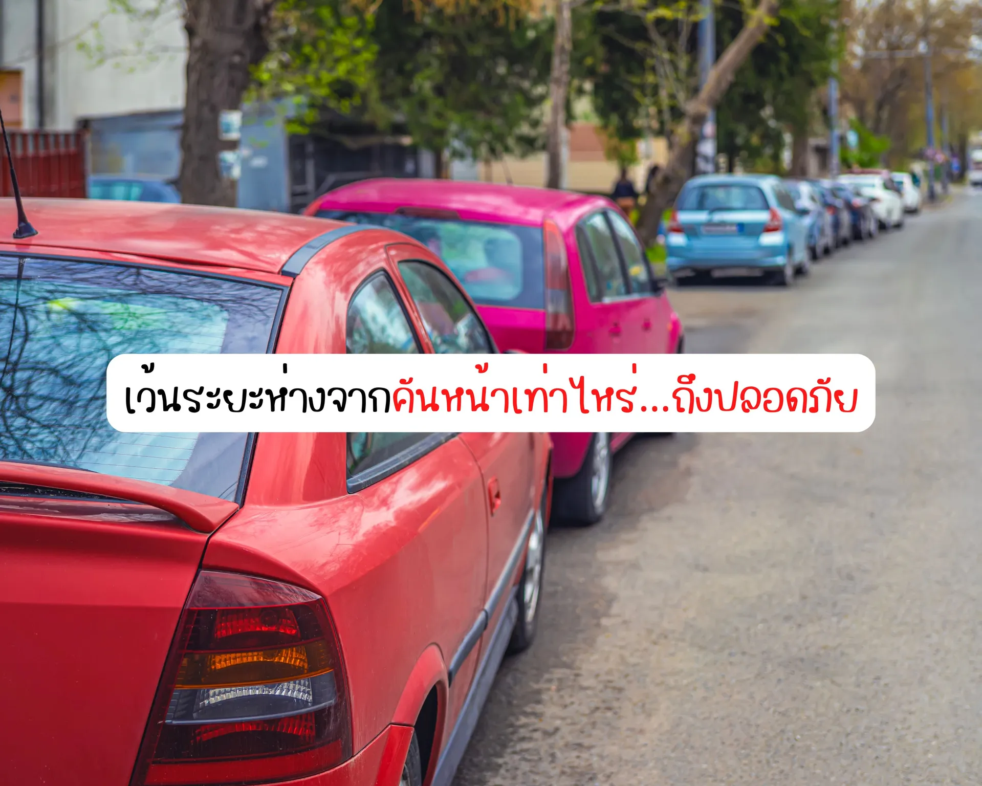 หน้าปกบนความ(77)