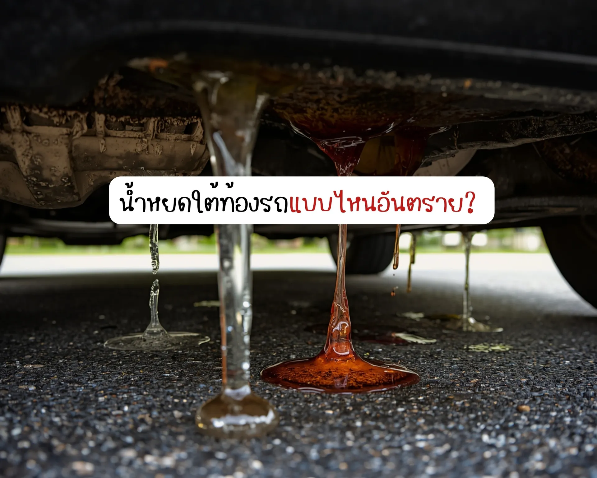 หน้าปกบนความ-2026-04-19T004705