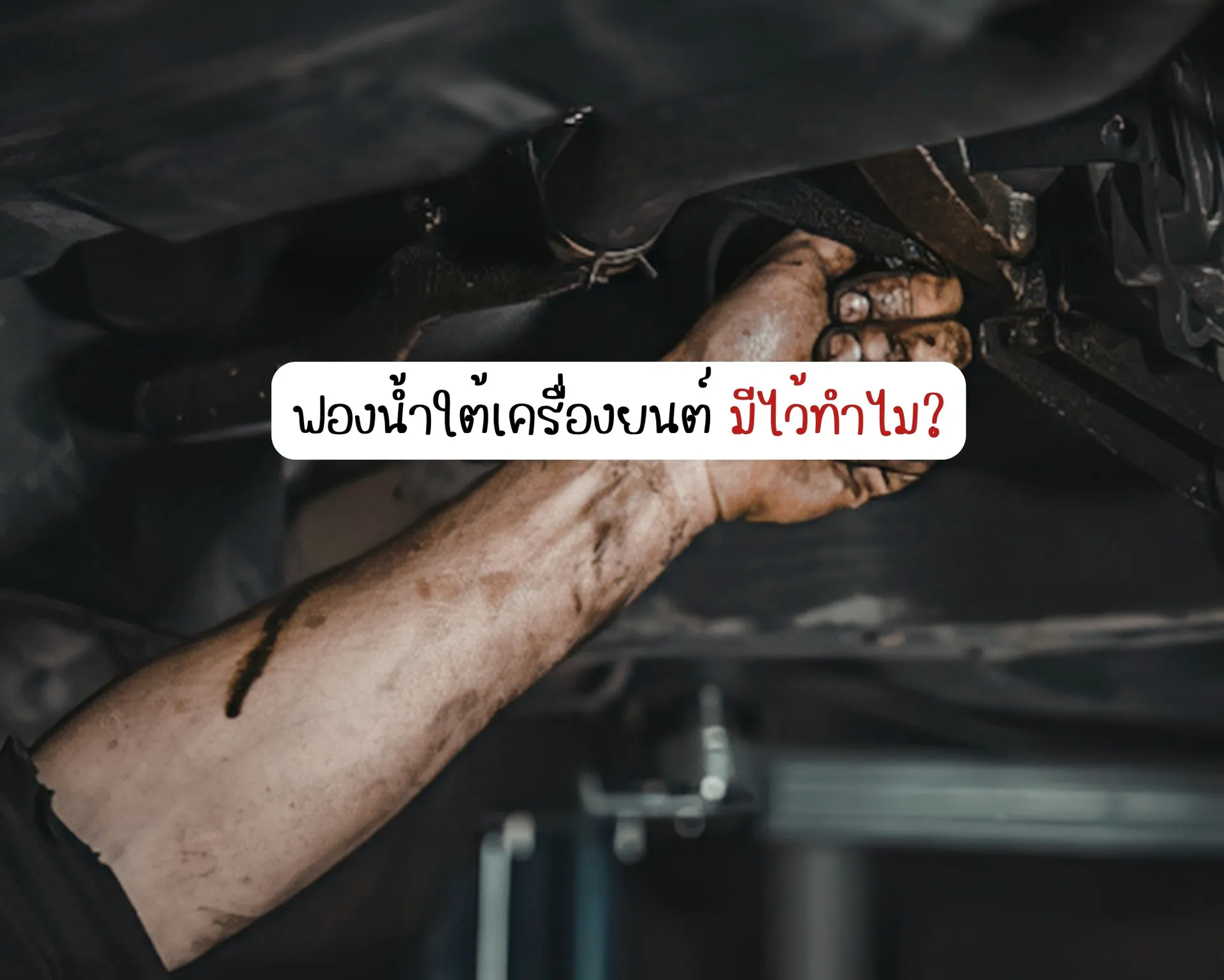 หน้าปกบนความ-2026-04-19T011611