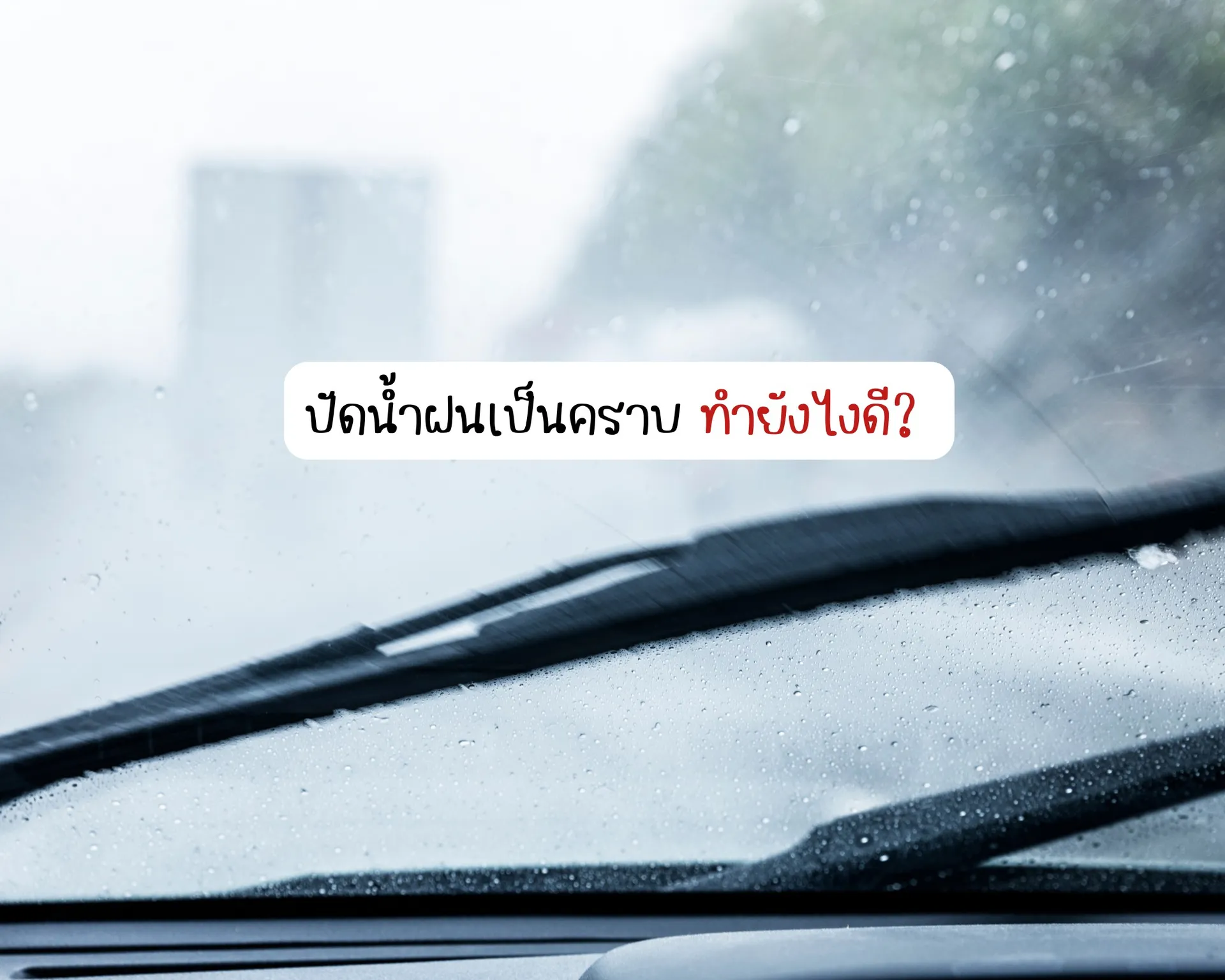 หน้าปกบนความ-2026-05-23T134020