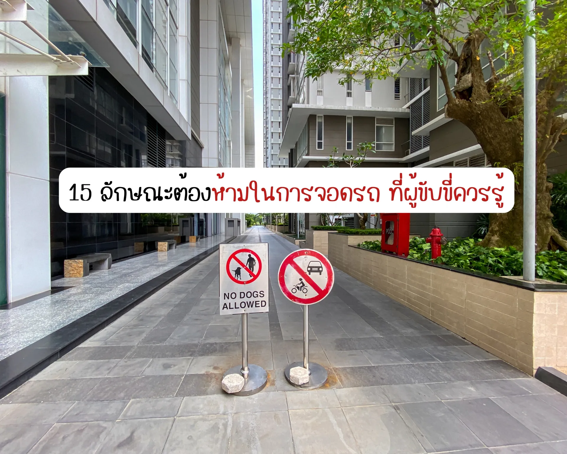 หน้าปกบนความ2(12)