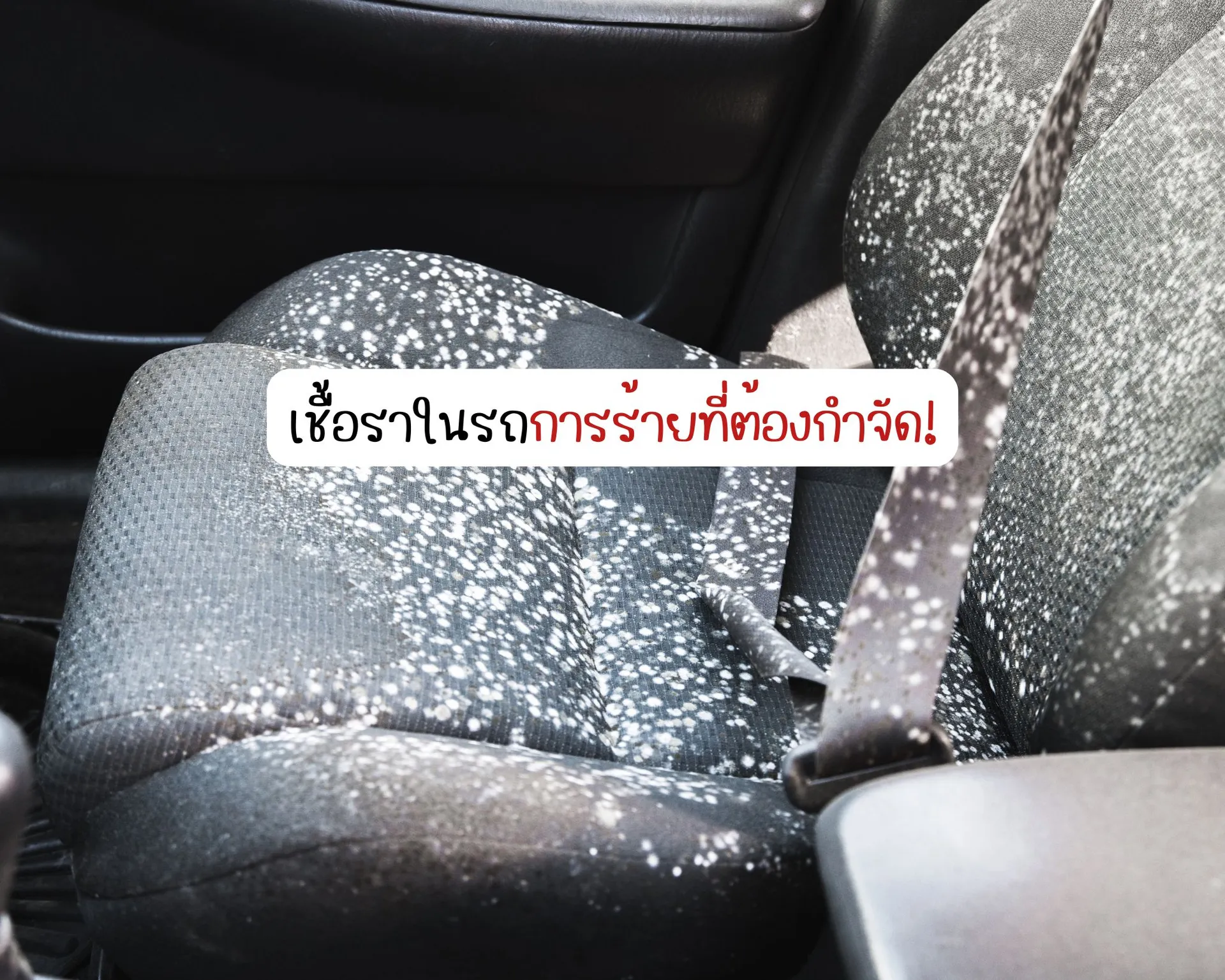 หน้าปกบนความ