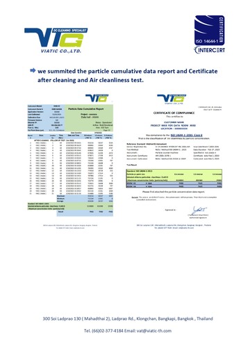 VTGCLEANINGPROFILEpage-0005