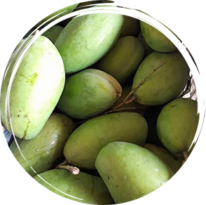 iTopPlus441449801759