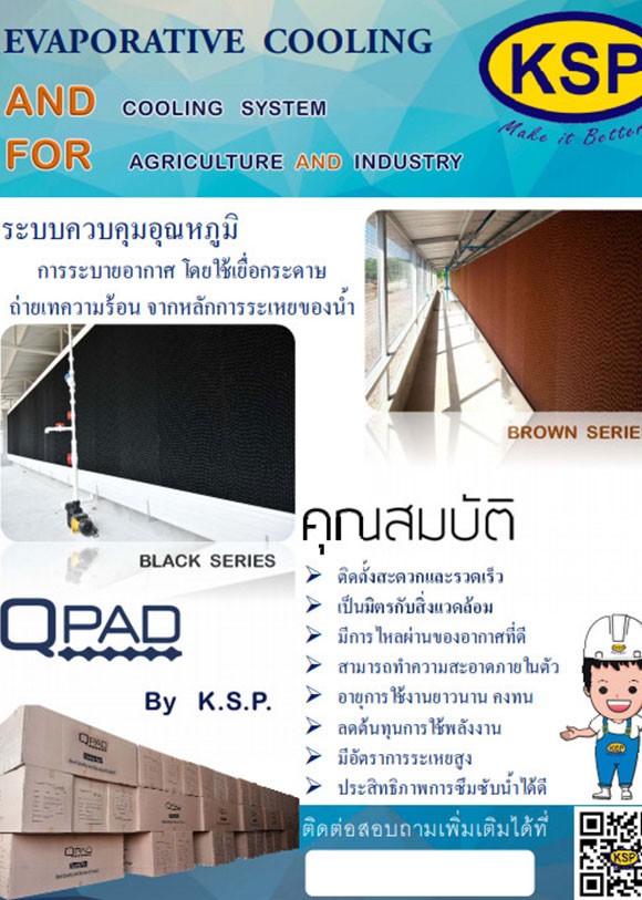 แคตตาล็อกและวิดีโอ