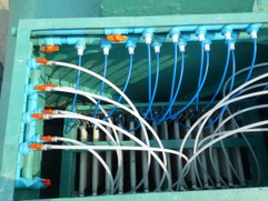 iTopPlus853155159001