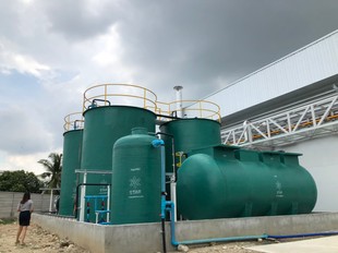 S33161306