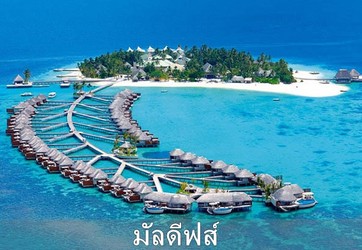 iTopPlus1080782371674