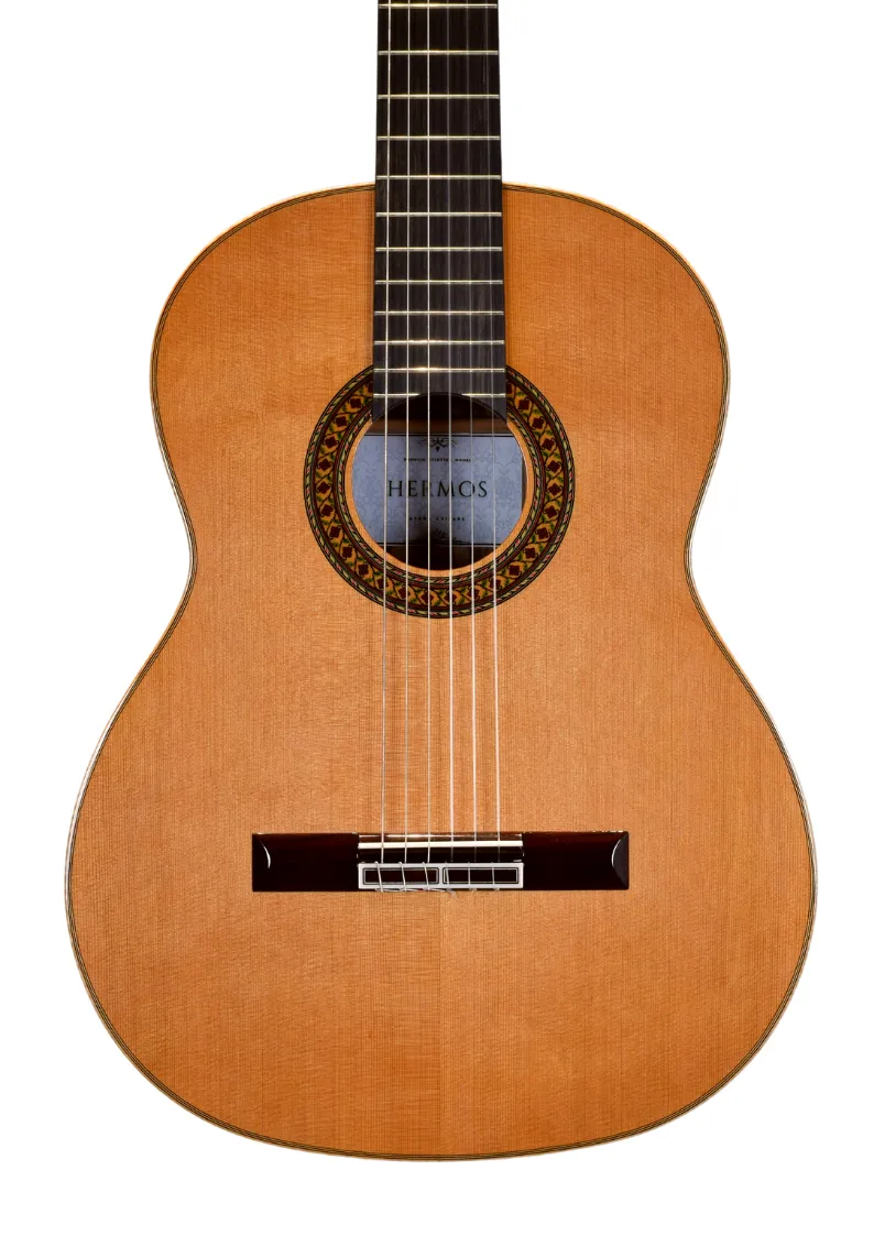 Ayada Guitars