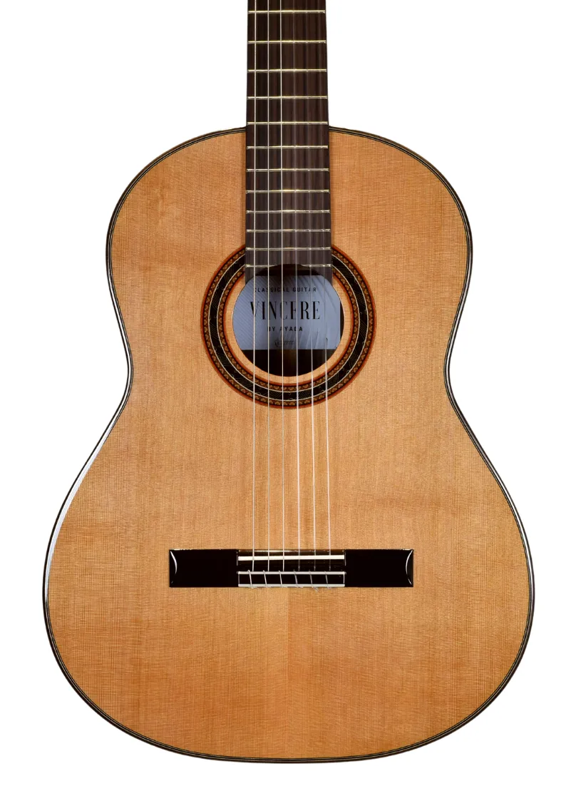 Ayada Guitars