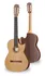 HANIKA-Gitarren-Basisklasse-BasisCutPC
