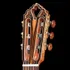 HANIKA-Gitarren-Meisterklasse-1a-DTL-Option-Kopf