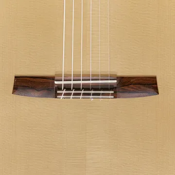 HANIKA-Gitarren-Meisterklasse-HE-Lattice-Standard-Steg