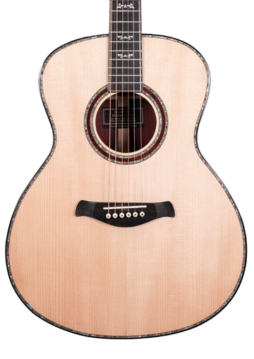 HermanGuitarCustom