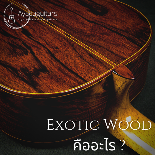 ExoticWoodคืออะไร