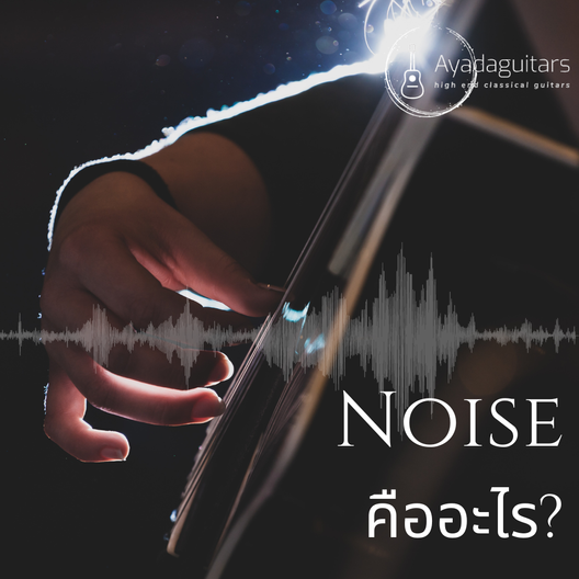 Noiseคืออะไร
