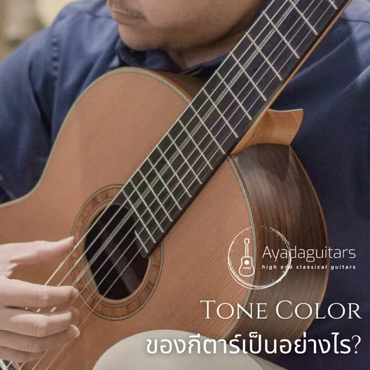 ミュージック KOJI GUITAR STUDY + Primary Color ワードレコーズ・ダイレクト / GUITAR STUDY + Primary Color