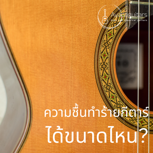 กีตาร์ที่ทนได้ทุกสภาพอากาศมีจริงไหม