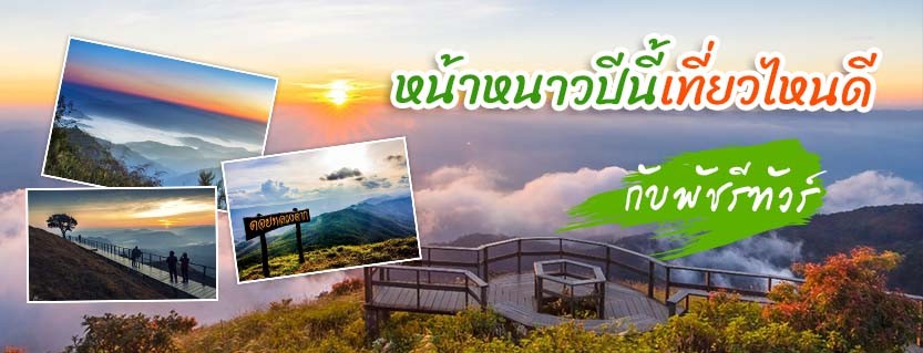 หน้าหนาวปีนี้เที่ยวไหนดี