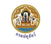 iTopPlus375819726790