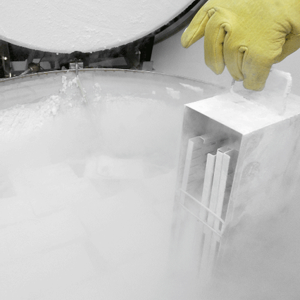 coldstorageprocess