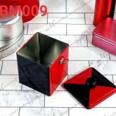 P181BM009