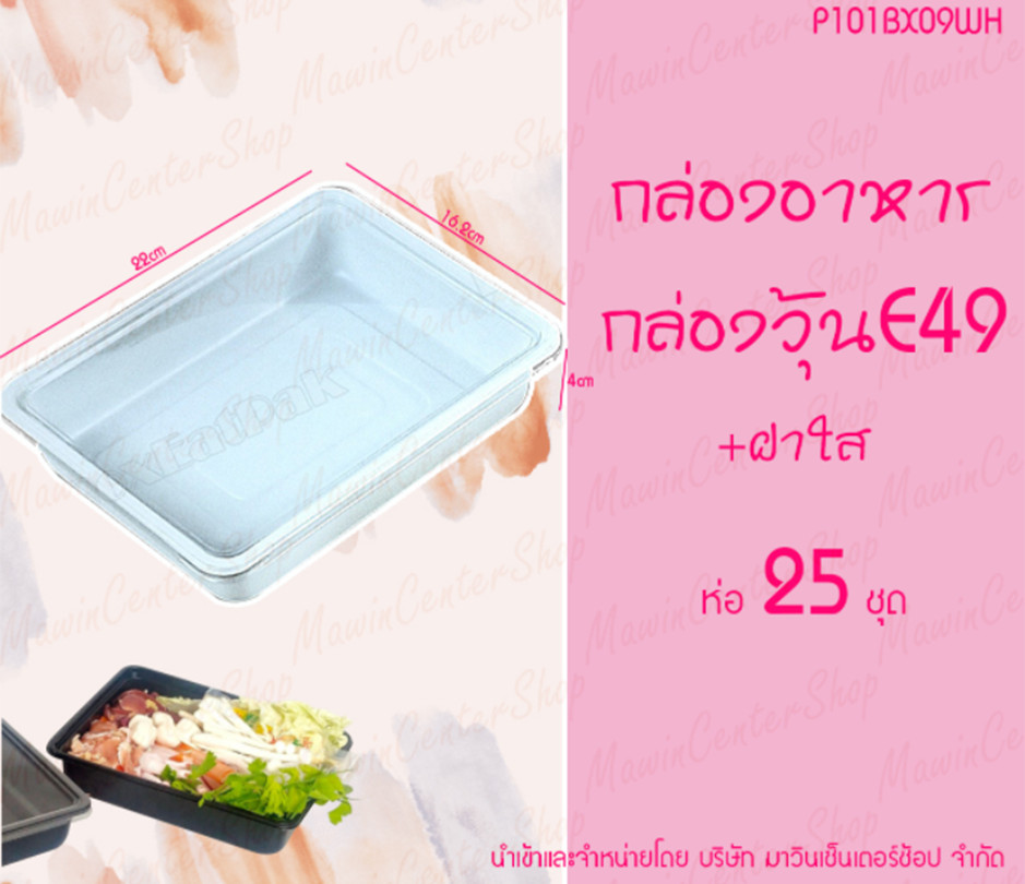 P101BX09WH