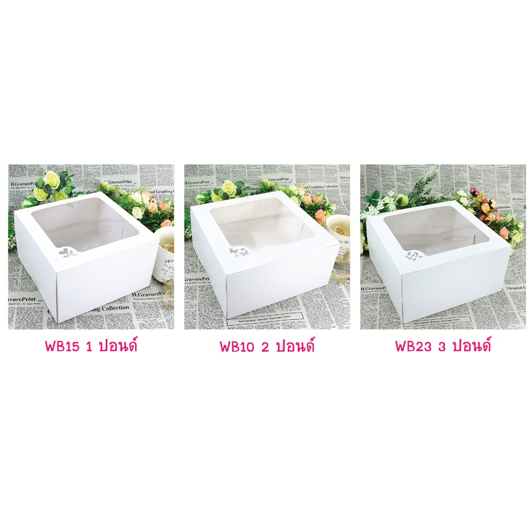 IDWCB3P01