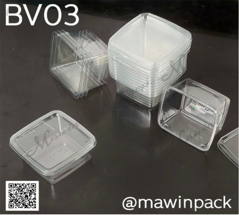 P101BV03