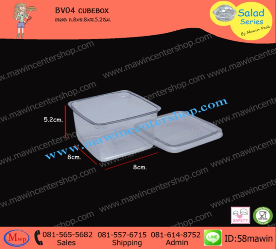 P101BV04