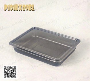 P101BX09BL