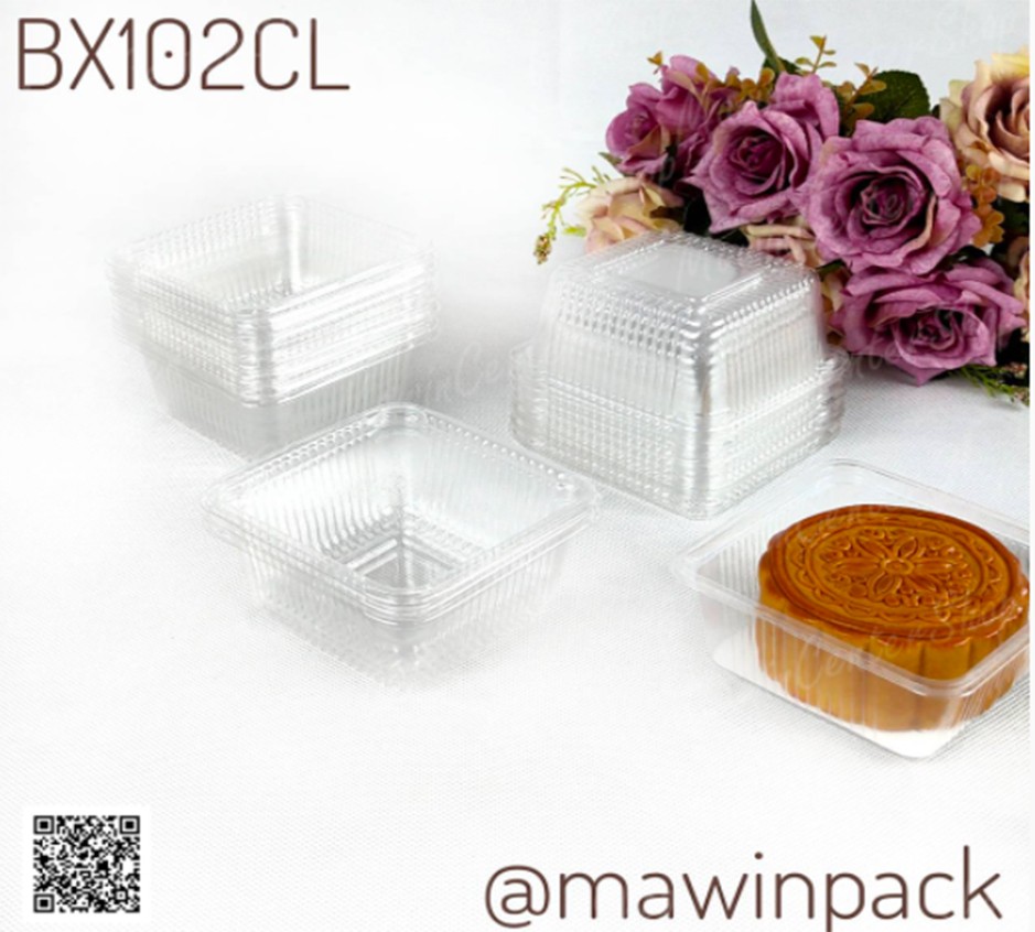 P101BX102CL